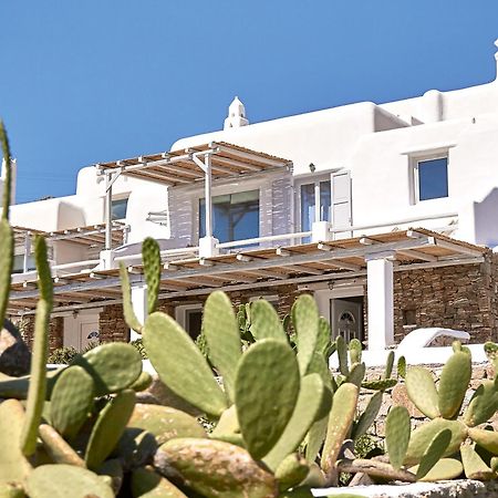 Mykonos Lolita, A Grecotel Resort To Live Mykonos Town Buitenkant foto